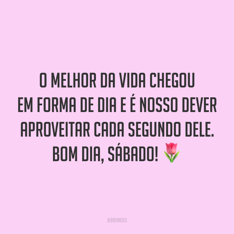 O melhor da vida chegou em forma de dia e é nosso dever aproveitar cada segundo dele. Bom dia, sábado! 🌷