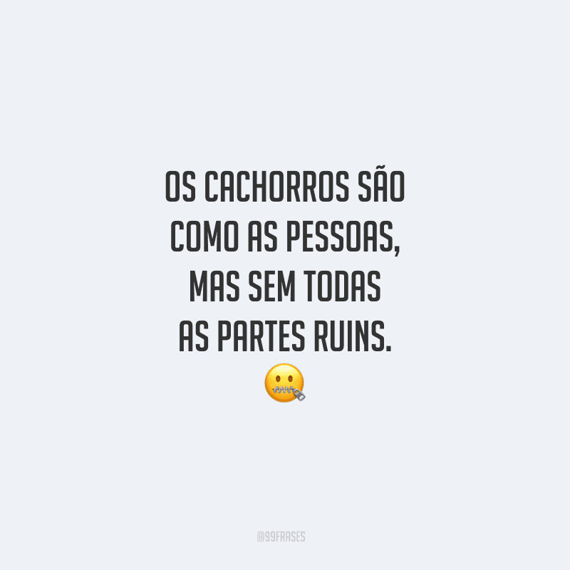 Os cachorros são como as pessoas, mas sem todas as partes ruins.