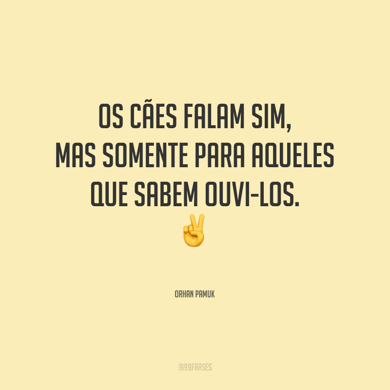 Os cães falam sim, mas somente para aqueles que sabem ouvi-los.
