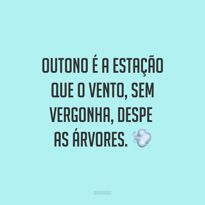 Outono é a estação que o vento, sem vergonha, despe as árvores. ?