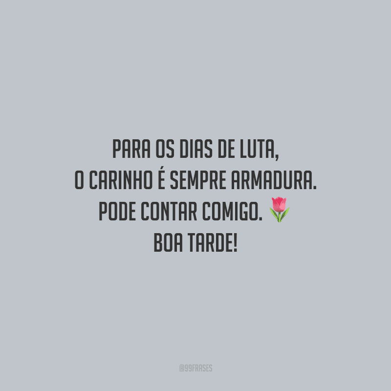 Para os dias de luta, o carinho é sempre armadura. Pode contar comigo. Boa tarde!