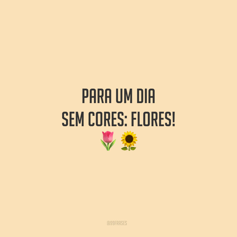 Para um dia sem cores: flores!