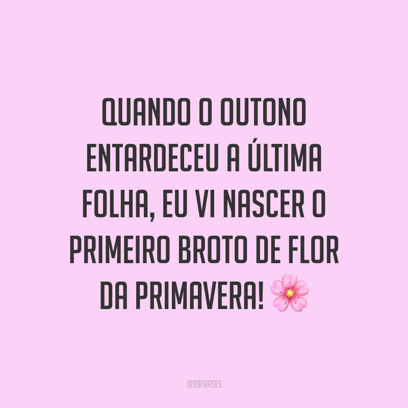 Quando o outono entardeceu a última folha, eu vi nascer o primeiro broto de flor da primavera! ?