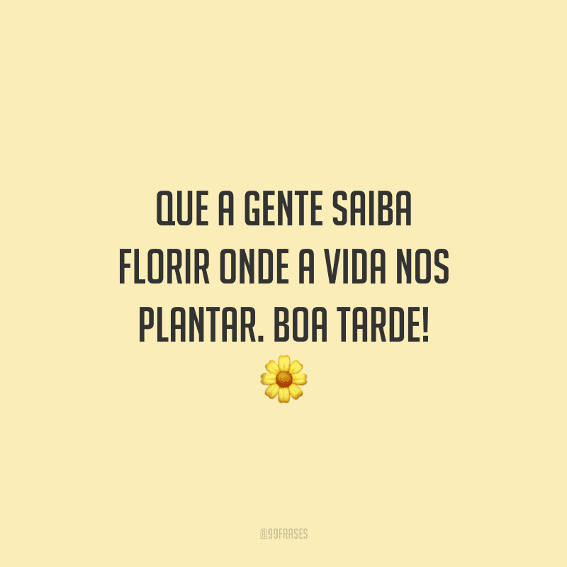 Que a gente saiba florir onde a vida nos plantar. Boa tarde!