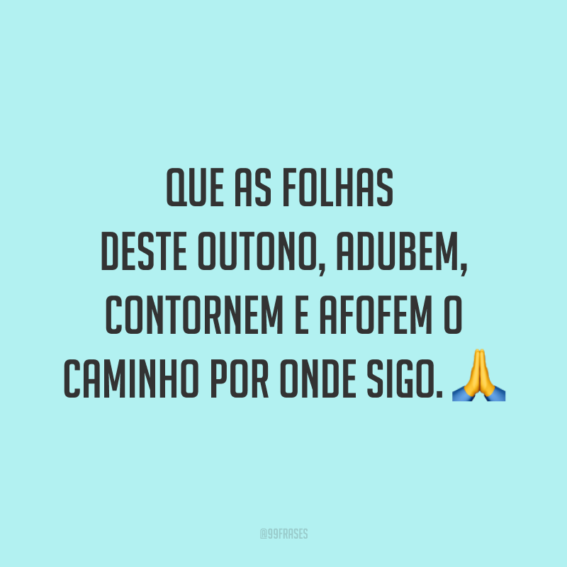 Que as folhas deste outono, adubem, contornem e afofem o caminho por onde sigo. ?
