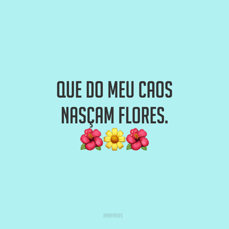 Que do meu caos nasçam flores.