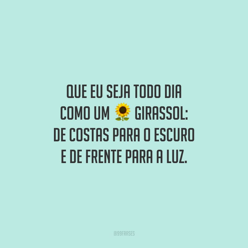 Que eu seja todo dia como um girassol: de costas para o escuro e de frente para a luz.