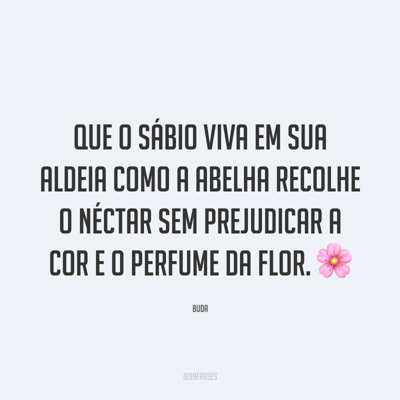 Que o sábio viva em sua aldeia como a abelha recolhe o néctar sem prejudicar a cor e o perfume da flor. 🌸