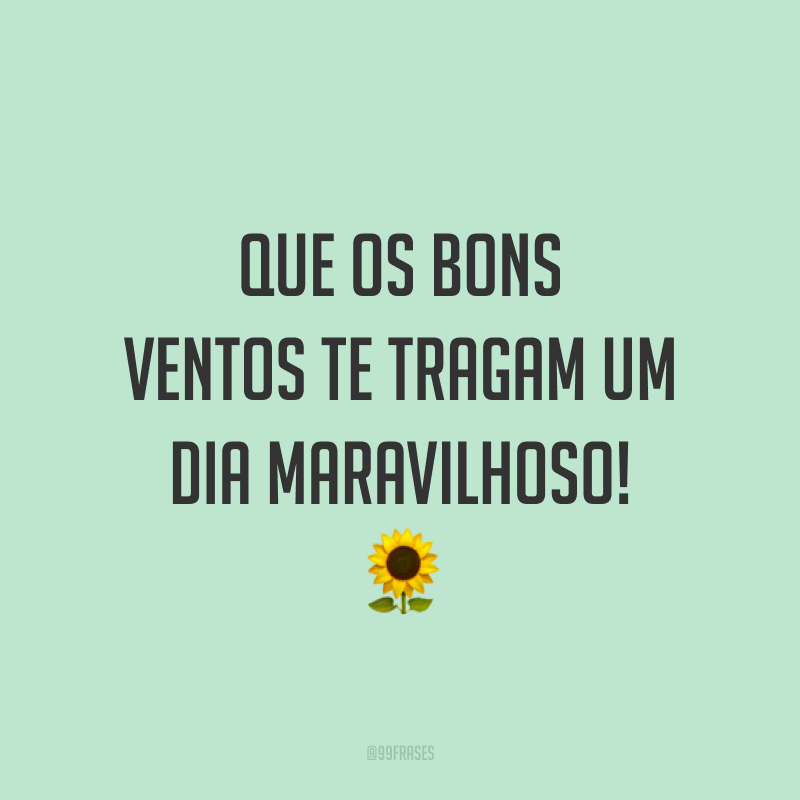 Que os bons ventos te tragam um dia maravilhoso! 🌻
