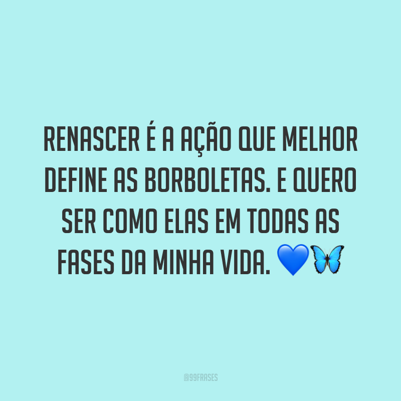 Renascer é a ação que melhor define as borboletas. E quero ser como elas em todas as fases da minha vida. 💙🦋