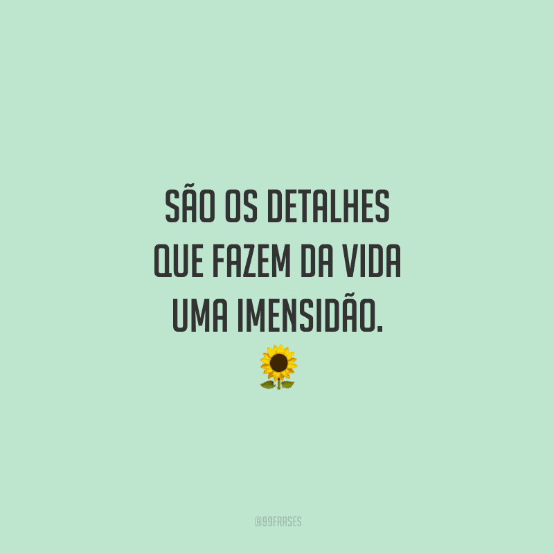 São os detalhes que fazem da vida uma imensidão. 🌻