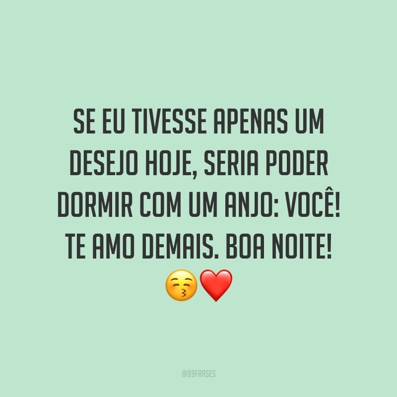 Se eu tivesse apenas um desejo hoje, seria poder dormir com um anjo: você! Te amo demais. Boa noite! 😚❤️
