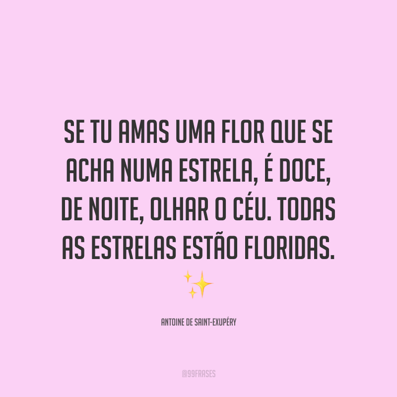 Se tu amas uma flor que se acha numa estrela, é doce, de noite, olhar o céu. Todas as estrelas estão floridas. ✨