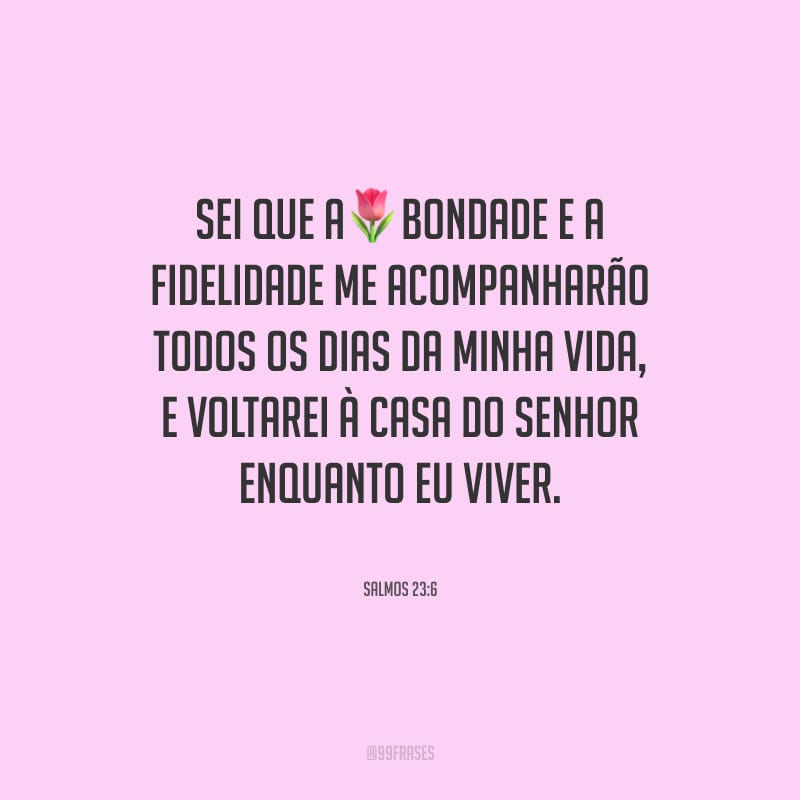 Sei que a bondade e a fidelidade me acompanharão todos os dias da minha vida, e voltarei à casa do Senhor enquanto eu viver.