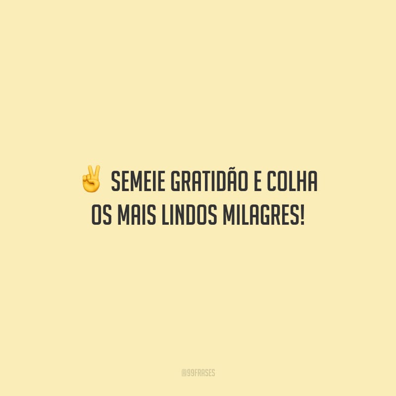 Semeie gratidão e colha os mais lindos milagres!