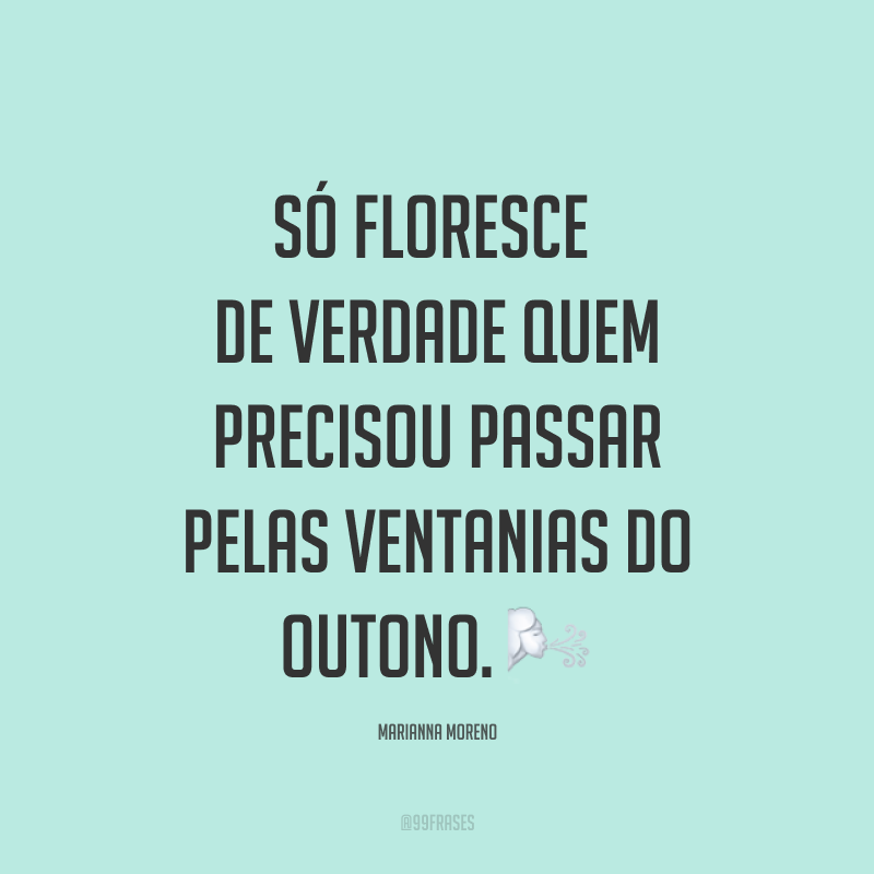 Só floresce de verdade quem precisou passar pelas ventanias do outono. ?