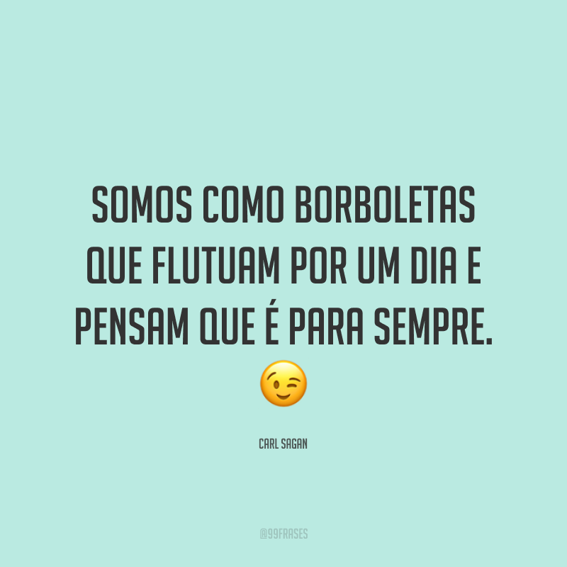 Somos como borboletas que flutuam por um dia e pensam que é para sempre. 😉