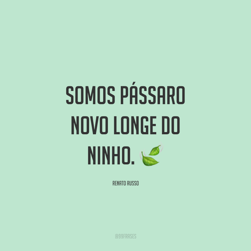 Somos pássaro novo longe do ninho. ?