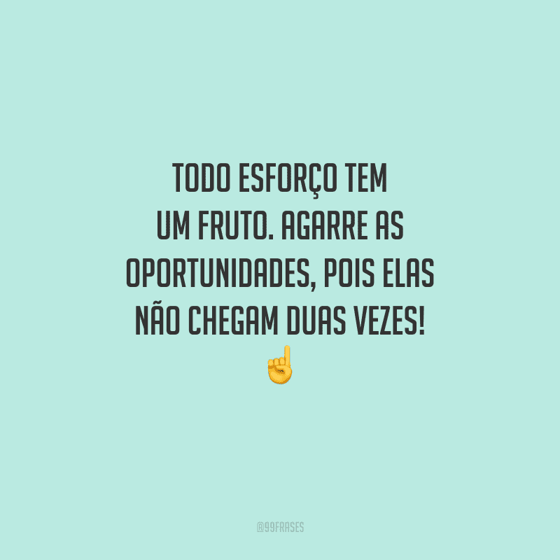 Todo esforço tem um fruto. Agarre as oportunidades, pois elas não chegam duas vezes! 