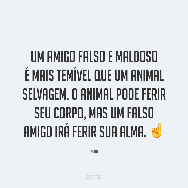 Um amigo falso e maldoso é mais temível que um animal selvagem. O animal pode ferir seu corpo, mas um falso amigo irá ferir sua alma. ☝️