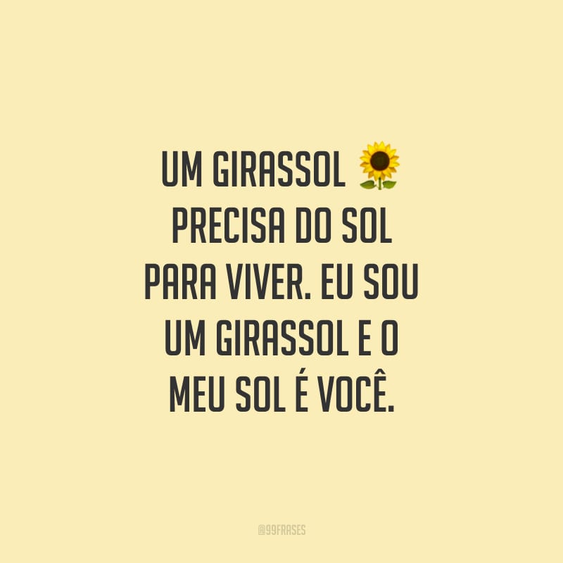 Featured image of post Frases Girassol Amor Que o amor seja a melhor forma de come ar e terminar o dia