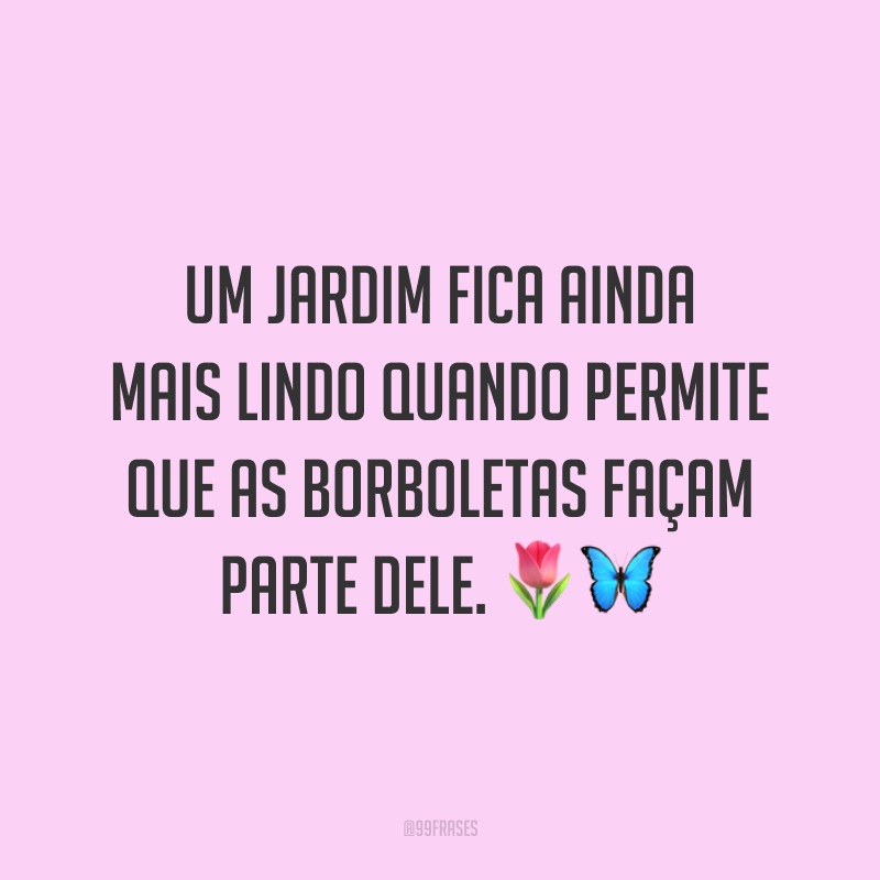 Um jardim fica ainda mais lindo quando permite que as borboletas façam parte dele. 🌷🦋
