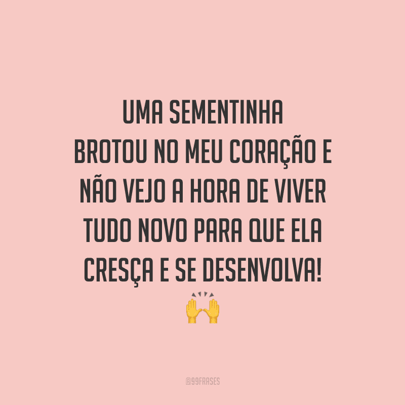 Uma sementinha brotou no meu coração e não vejo a hora de viver tudo novo para que ela cresça e se desenvolva!