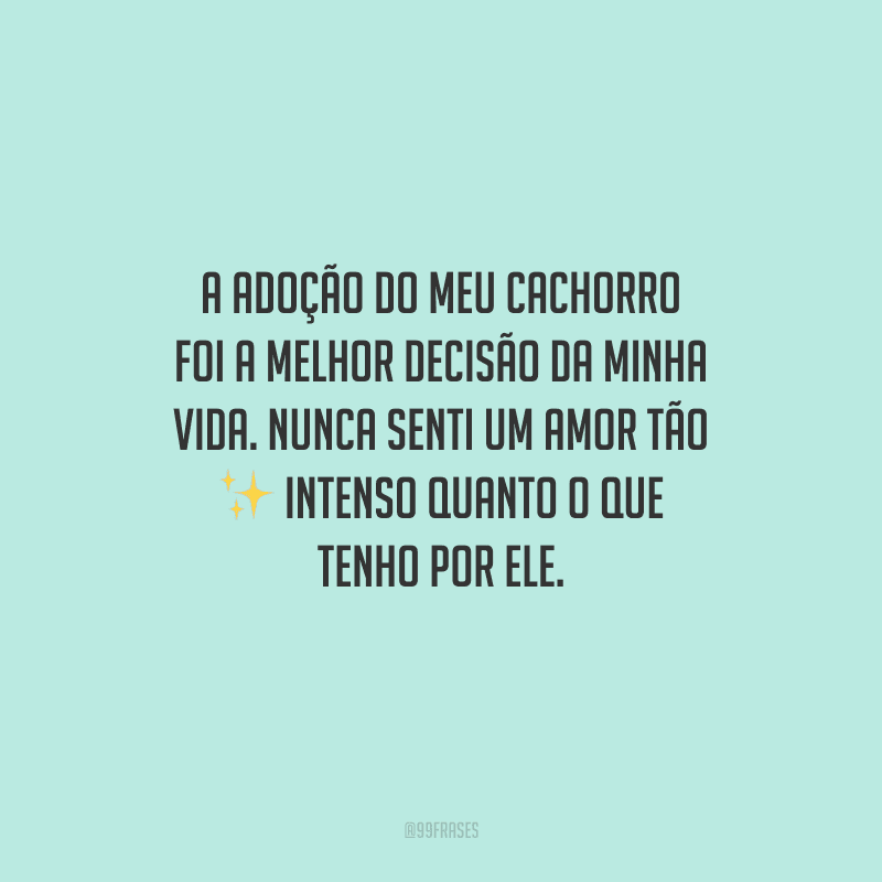 A adoção do meu cachorro foi a melhor decisão da minha vida. Nunca senti um amor tão intenso quanto o que tenho por ele.