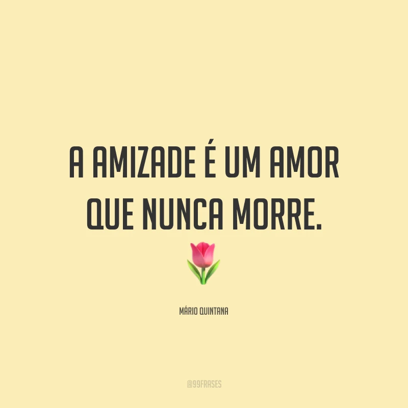 A amizade é um amor que nunca morre. 🌷