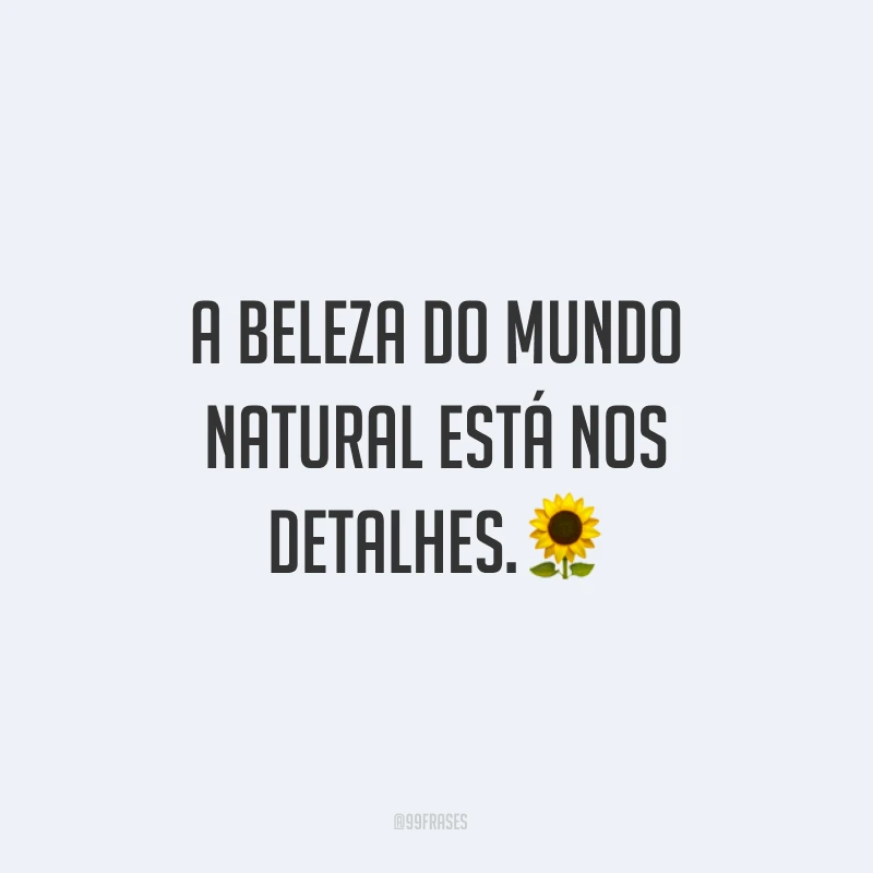 A beleza do mundo natural está nos detalhes.?