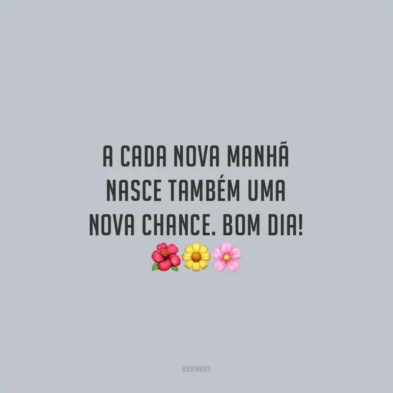 A cada nova manhã nasce também uma nova chance. Bom dia!