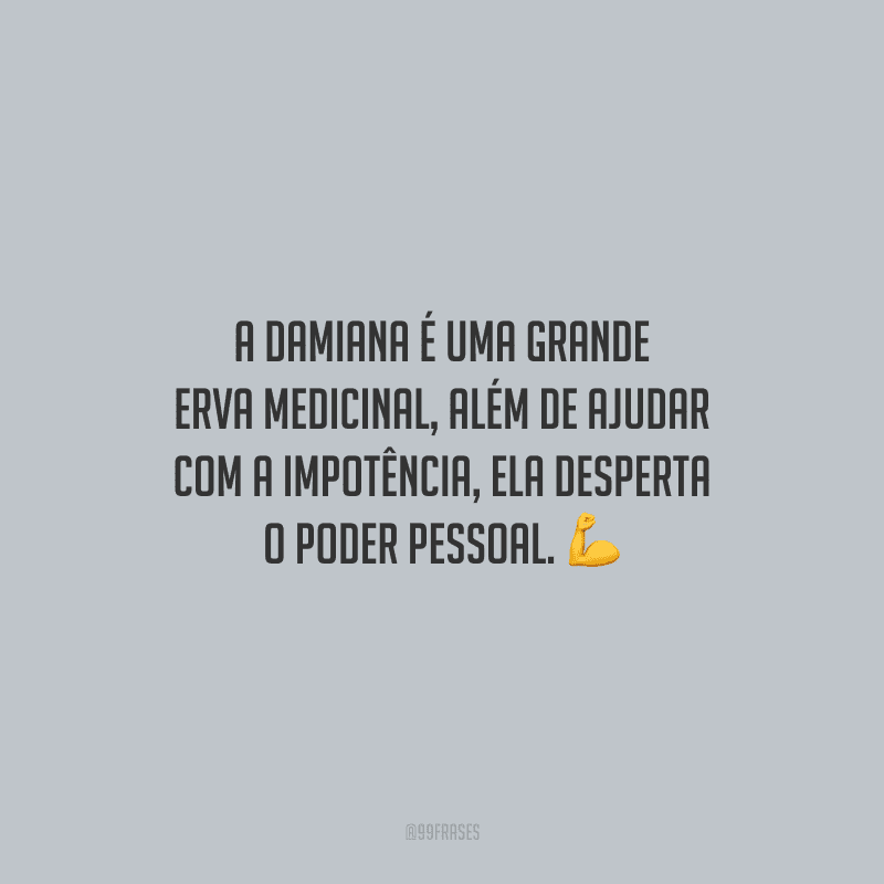 A damiana é uma grande erva medicinal, além de ajudar com a impotência, ela desperta o poder pessoal.