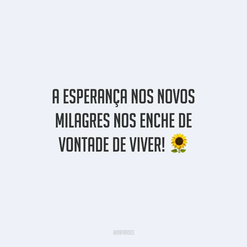 A esperança nos novos milagres nos enche de vontade de viver!