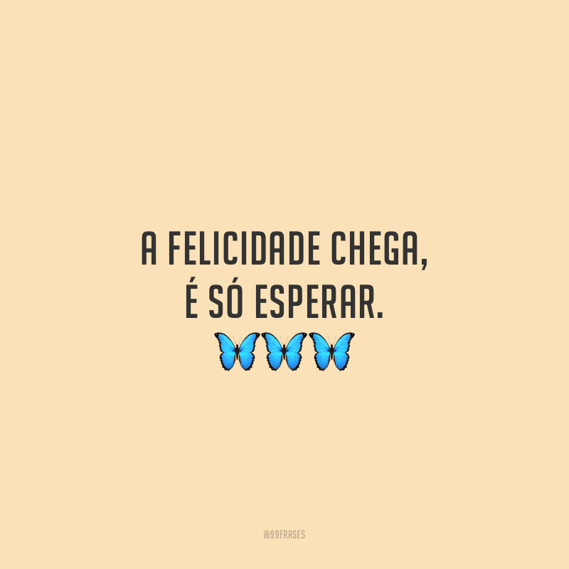 A felicidade chega, é só esperar.