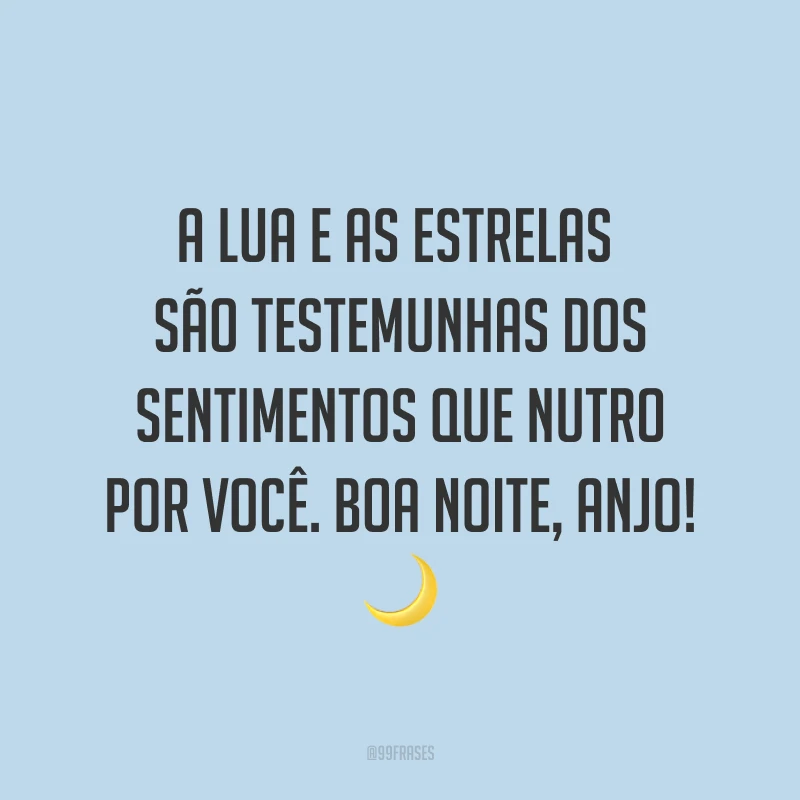 A lua e as estrelas são testemunhas dos sentimentos que nutro por você. Boa noite, anjo! ?