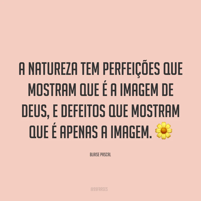 A natureza tem perfeições que mostram que é a imagem de Deus, e defeitos que mostram que é apenas a imagem. ?