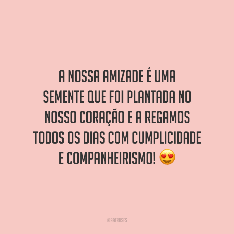 A nossa amizade é uma semente que foi plantada no nosso coração e a regamos todos os dias com cumplicidade e companheirismo!