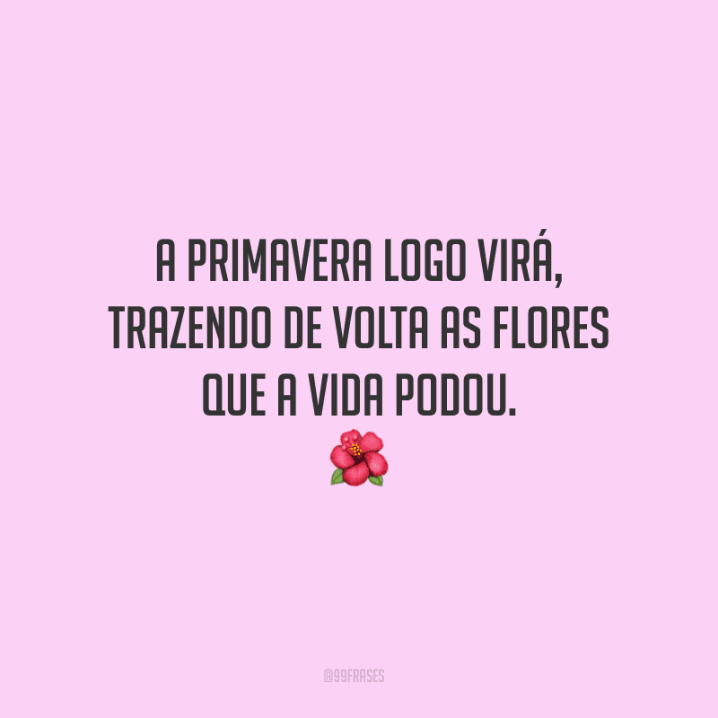 A primavera logo virá, trazendo de volta as flores que a vida podou.