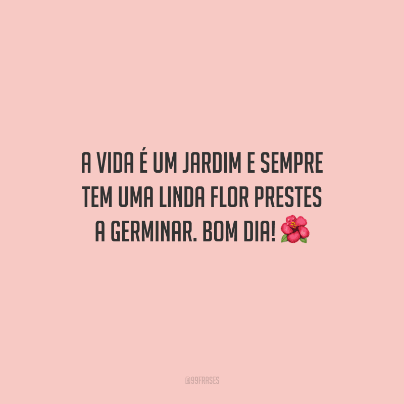 A vida é um jardim e sempre tem uma linda flor prestes a germinar. Bom dia! 