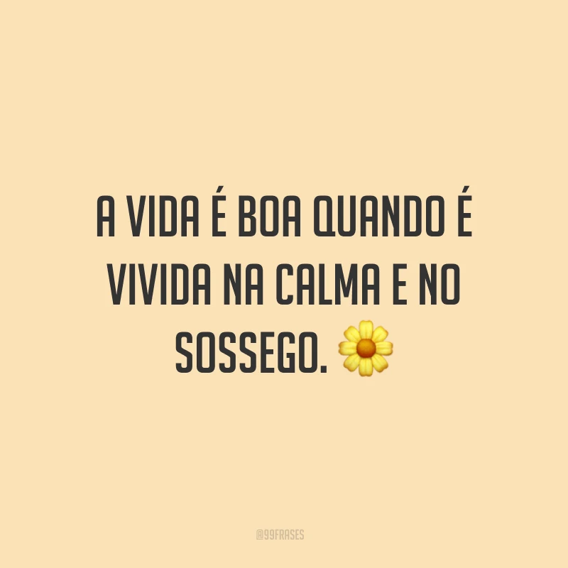 A vida é boa quando é vivida na calma e no sossego. ?
