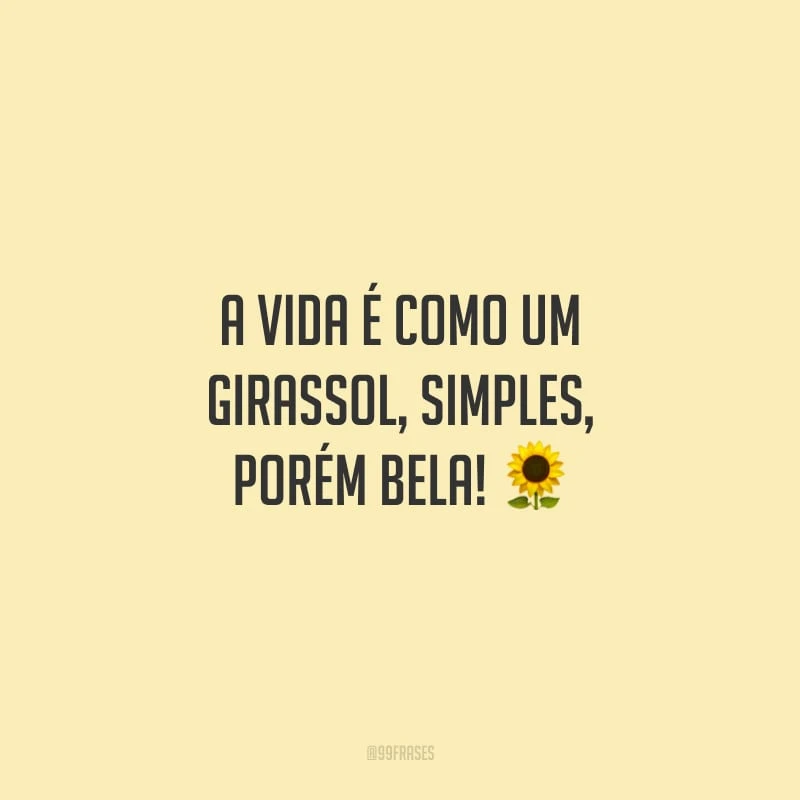 A vida é como um girassol, simples, porém bela!