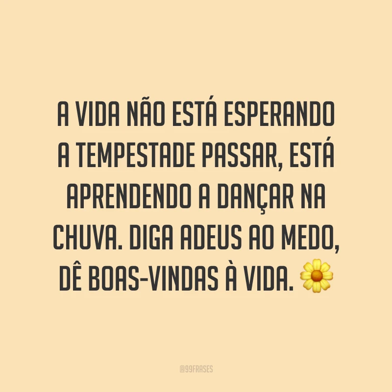 A vida não está esperando a tempestade passar, está aprendendo a dançar na chuva. Diga adeus ao medo, dê boas-vindas à vida. 🌼