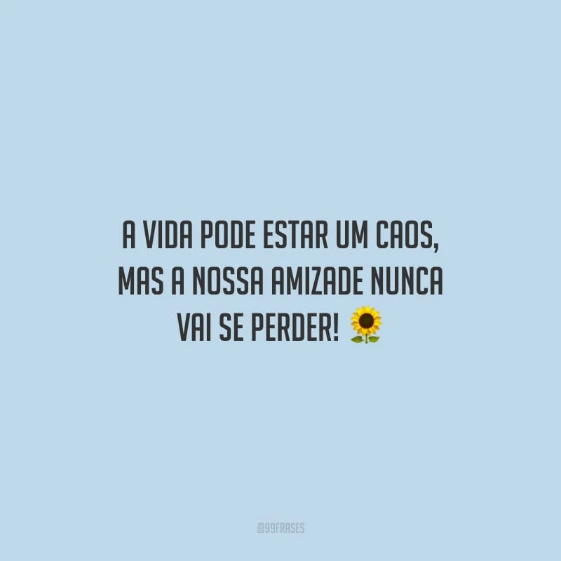 A vida pode estar um caos, mas a nossa amizade nunca vai se perder!