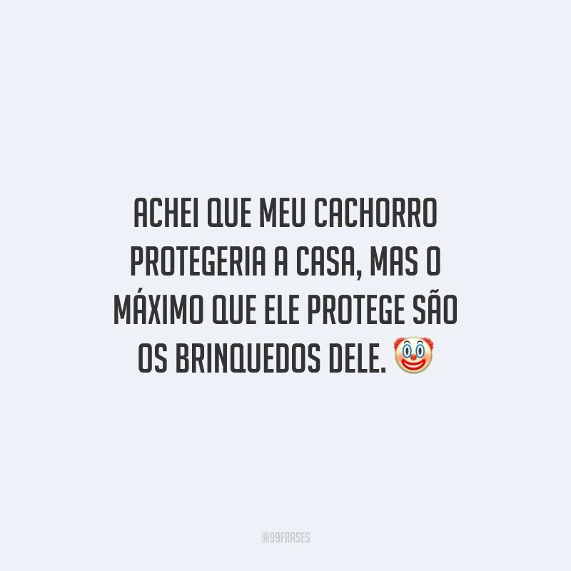 Achei que meu cachorro protegeria a casa, mas o máximo que ele protege são os brinquedos dele.
