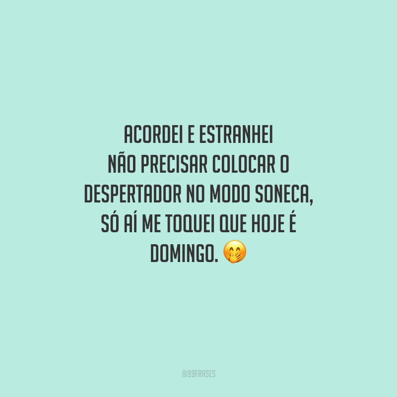 Acordei e estranhei não precisar colocar o despertador no modo soneca, só aí me toquei que hoje é domingo.