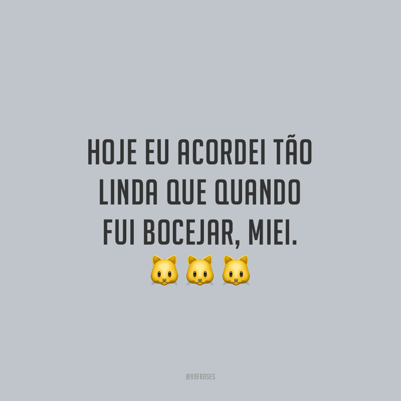 Hoje eu acordei tão linda que quando fui bocejar, miei.