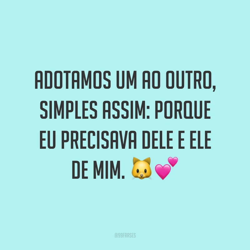 Adotamos um ao outro, simples assim: porque eu precisava dele e ele de mim. 🐱💕