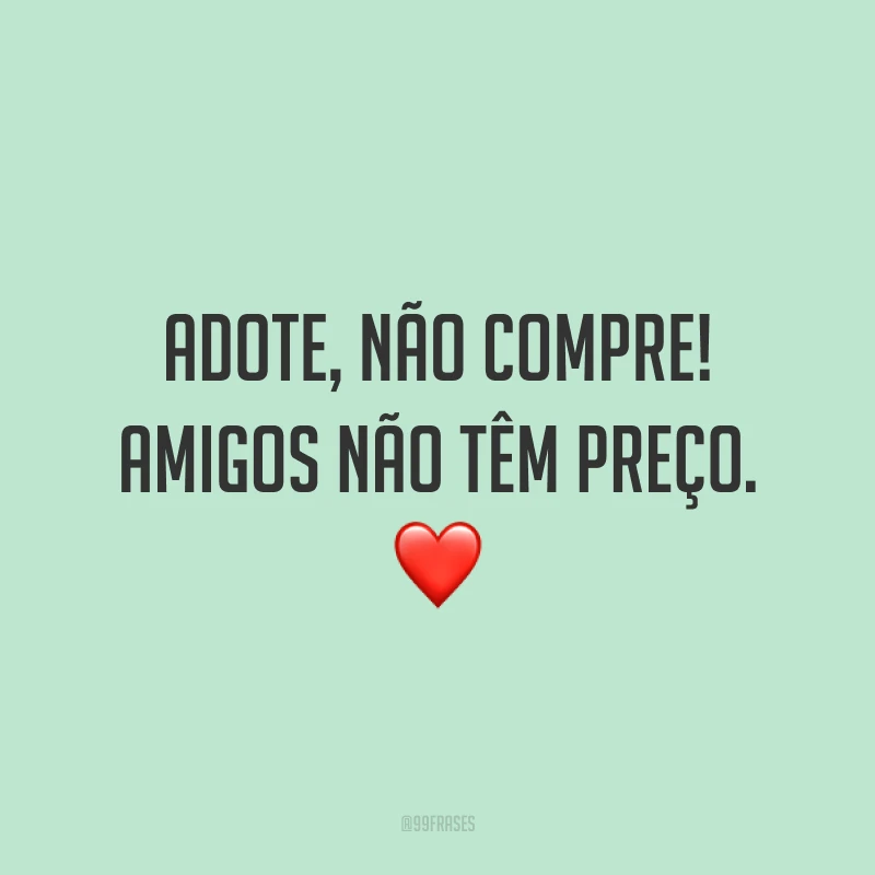 Adote, não compre! Amigos não têm preço. ❤️