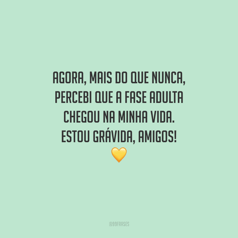 Agora, mais do que nunca, percebi que a fase adulta chegou na minha vida. Estou grávida, amigos! 
