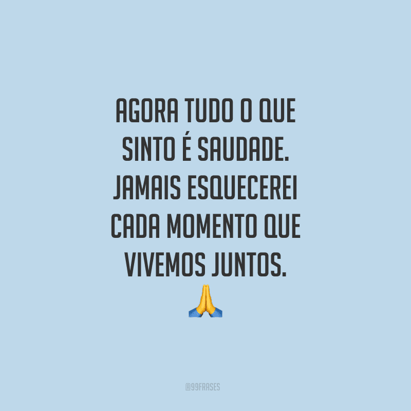 Agora tudo o que sinto é saudade. Jamais esquecerei cada momento que vivemos juntos. 